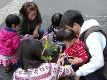 2011.03.12 sarugaku gardening CIMG0649.JPG